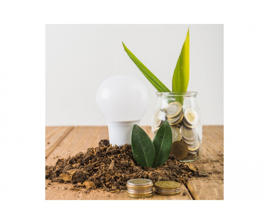 ¿Es costoso el consumo ecológico?